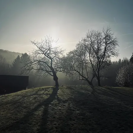 Les Deux Au Dessus De La Colline