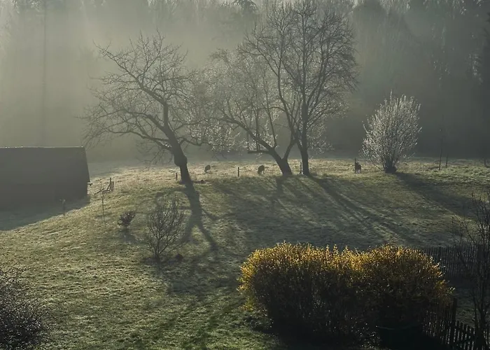 Les Deux Au Dessus De La Colline