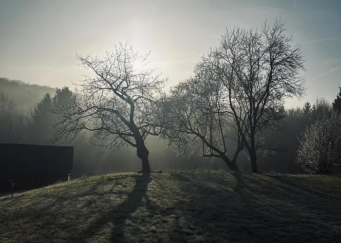 Les Deux Au Dessus De La Colline