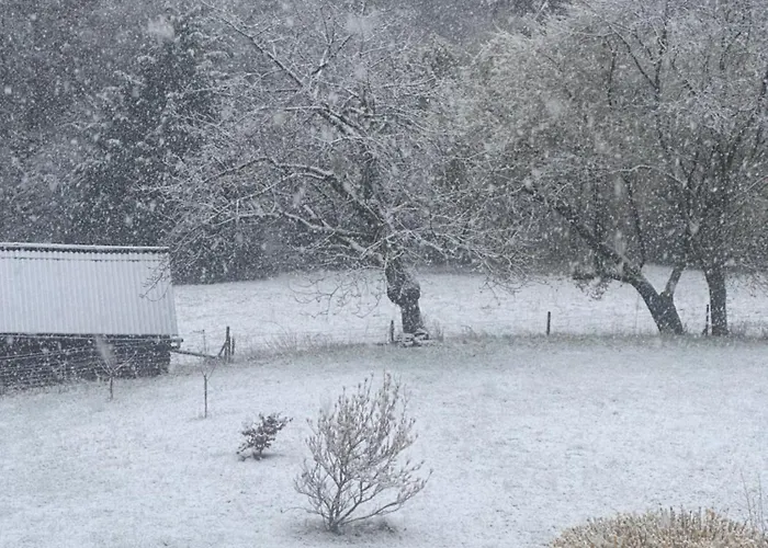 Les Deux Au Dessus De La Colline *